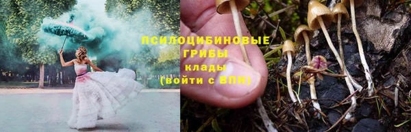 герыч Осинники
